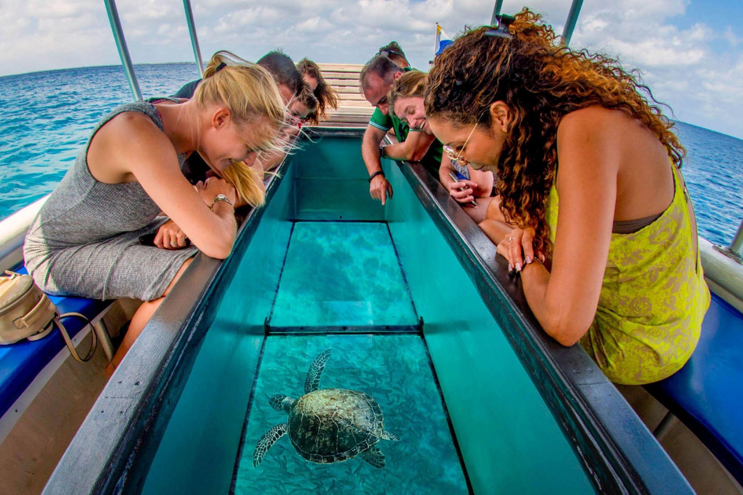 Family Glass Bottom Boat Sharm El Sheikh Excursions - photo 3