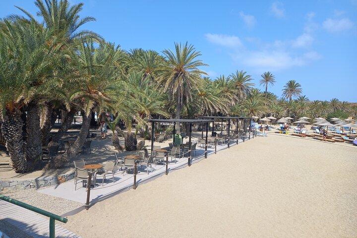 Full Day Private Tour to Vai Palm Beach - photo 2
