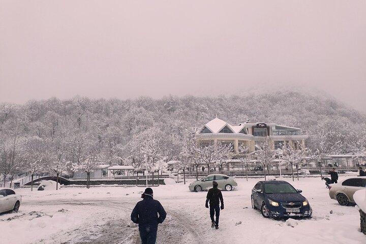 Private Full Day Shamakhi Heritage and Gabala Nature Tour - photo 2