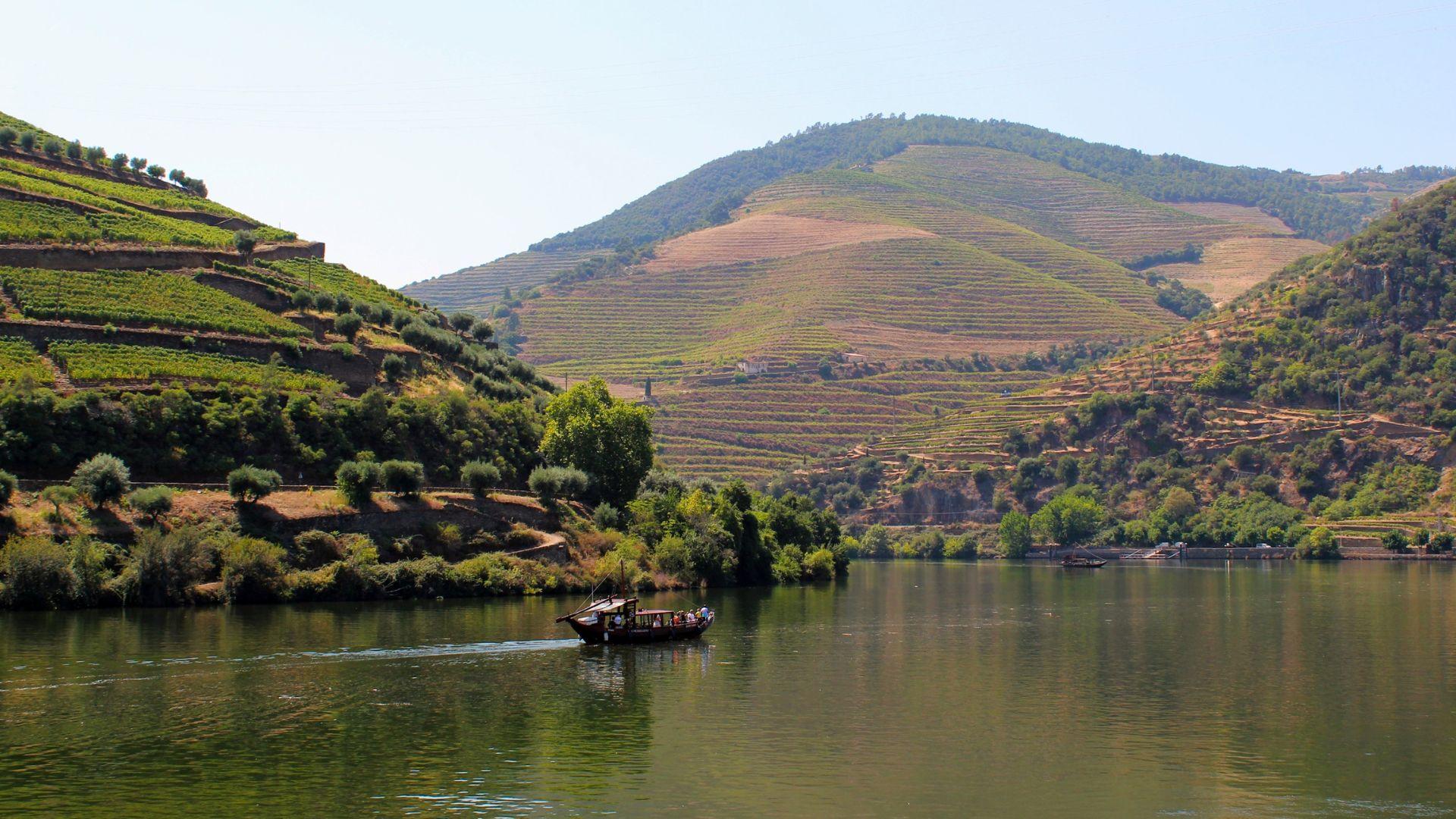 Douro Valley Small Group Tour with Wine Tastings, Lunch and River Cruise - photo 5