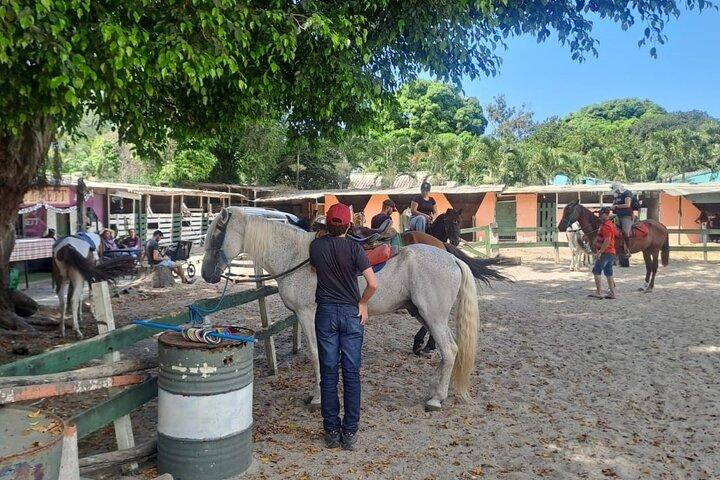 Quilombo Visit with Horse Backriding and Waterfall Tour - cover photo