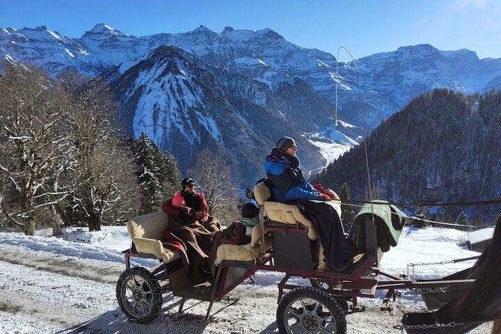 1 Day Hidden Gems Tour from Zurich Funicular Hike and Carriage - cover photo
