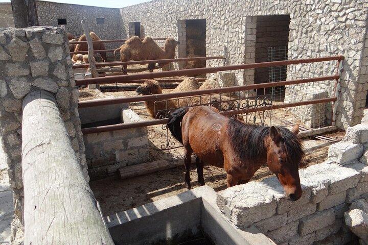 A Full Day Absheron Castles and Oil Heritage Private Tour - photo 3