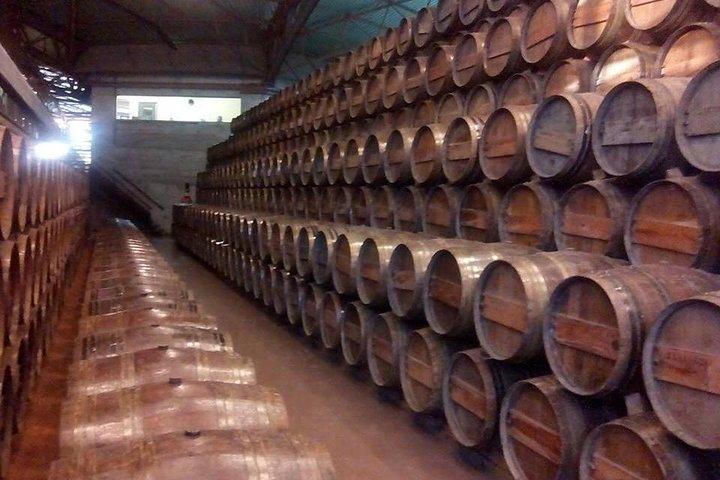 Full Day Private Wine Tour in Arrabida - photo 2