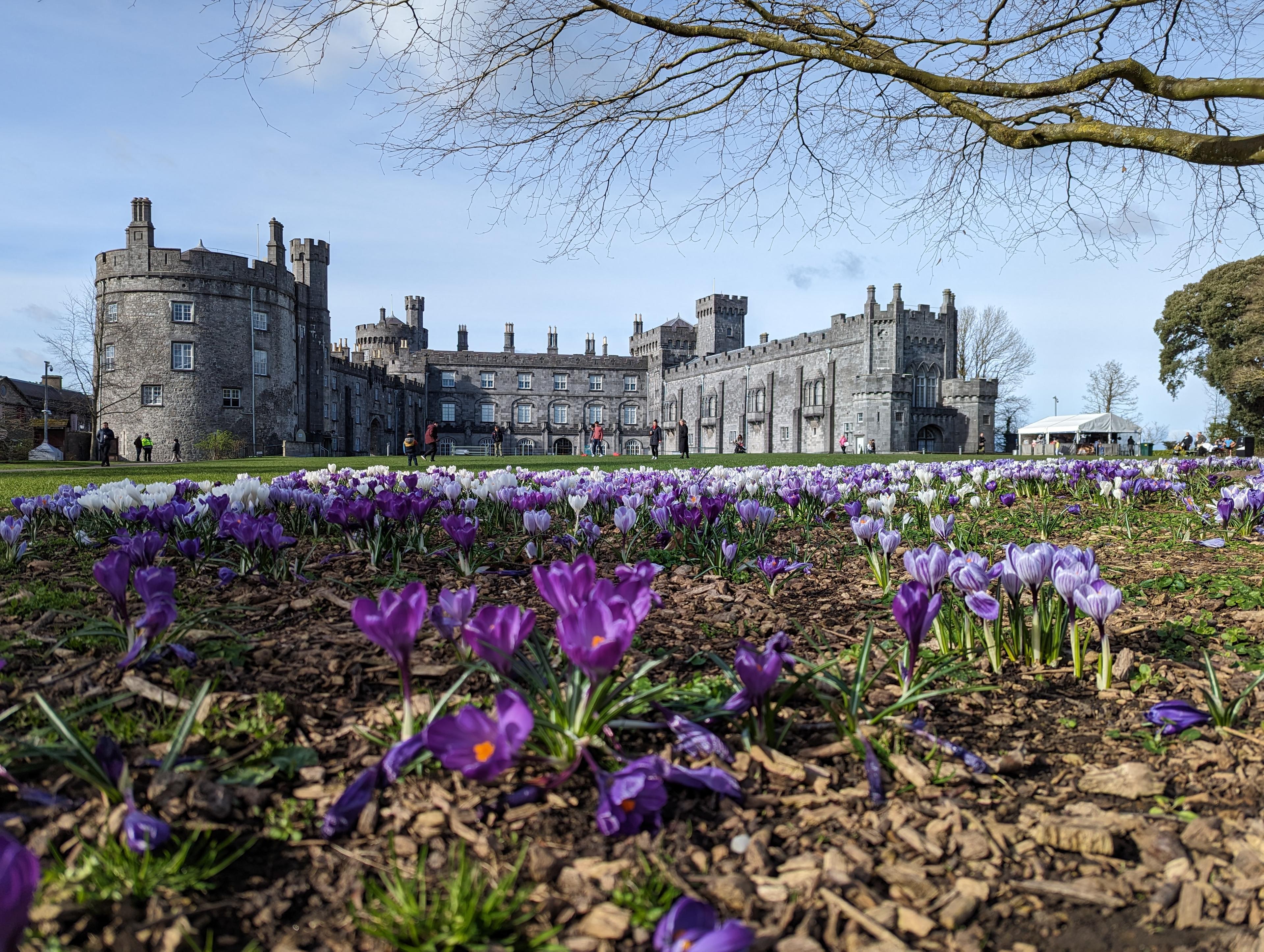The best of Kilkenny walking tour (English). - photo 2