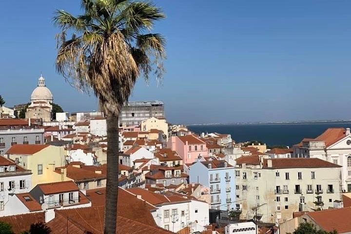 Private Tour 9 DayS in Portugal including Lisbon, Fátima, Sintra, Porto, Évora.. - cover photo