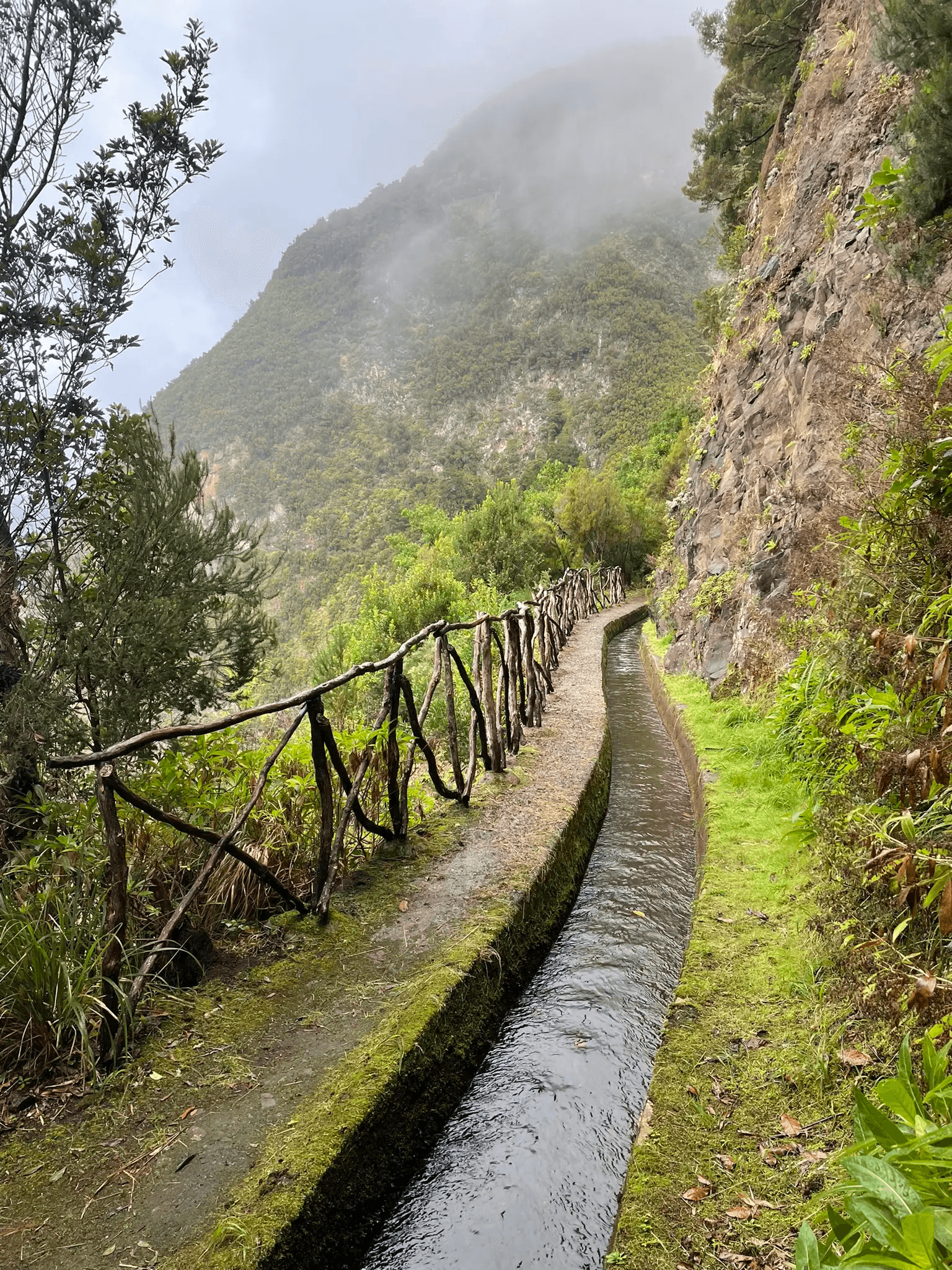 The Untouched Nature's Hike - cover photo