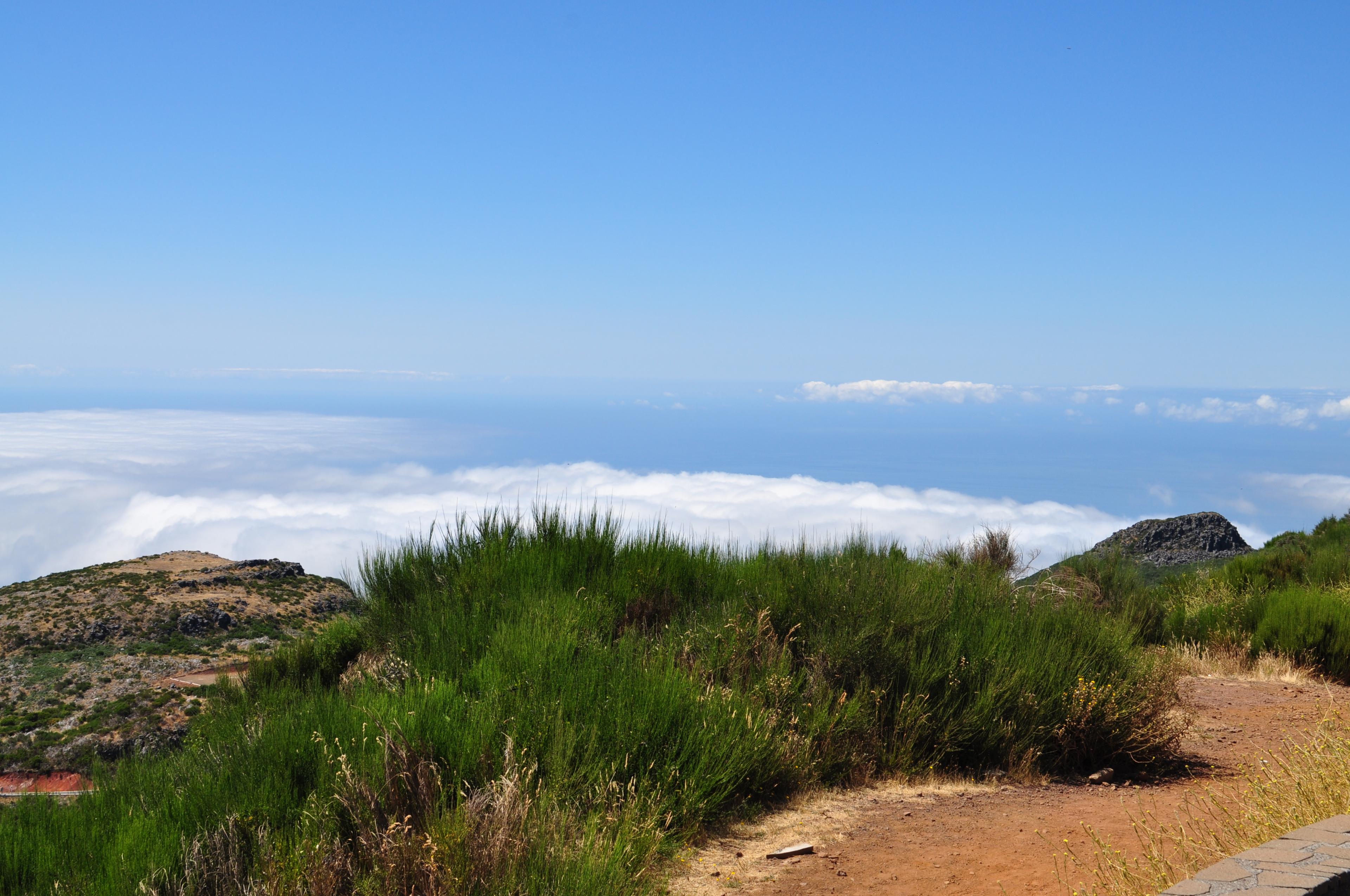 East Coast Heritage Route: Pico do Arieiro & Tradicional Santana - photo 5