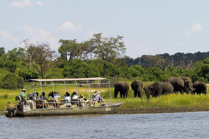 Chobe Full Day Safari Trip - cover photo