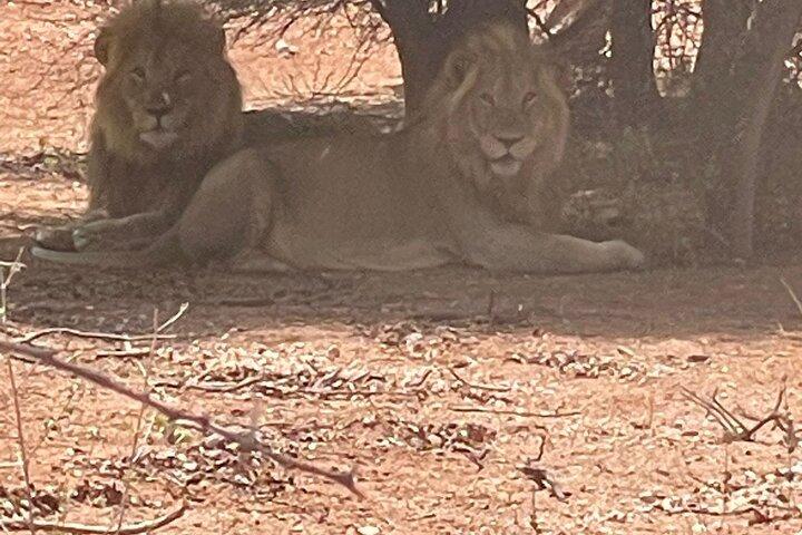 5 nights 6 days luxury Kruger park tour - photo 5