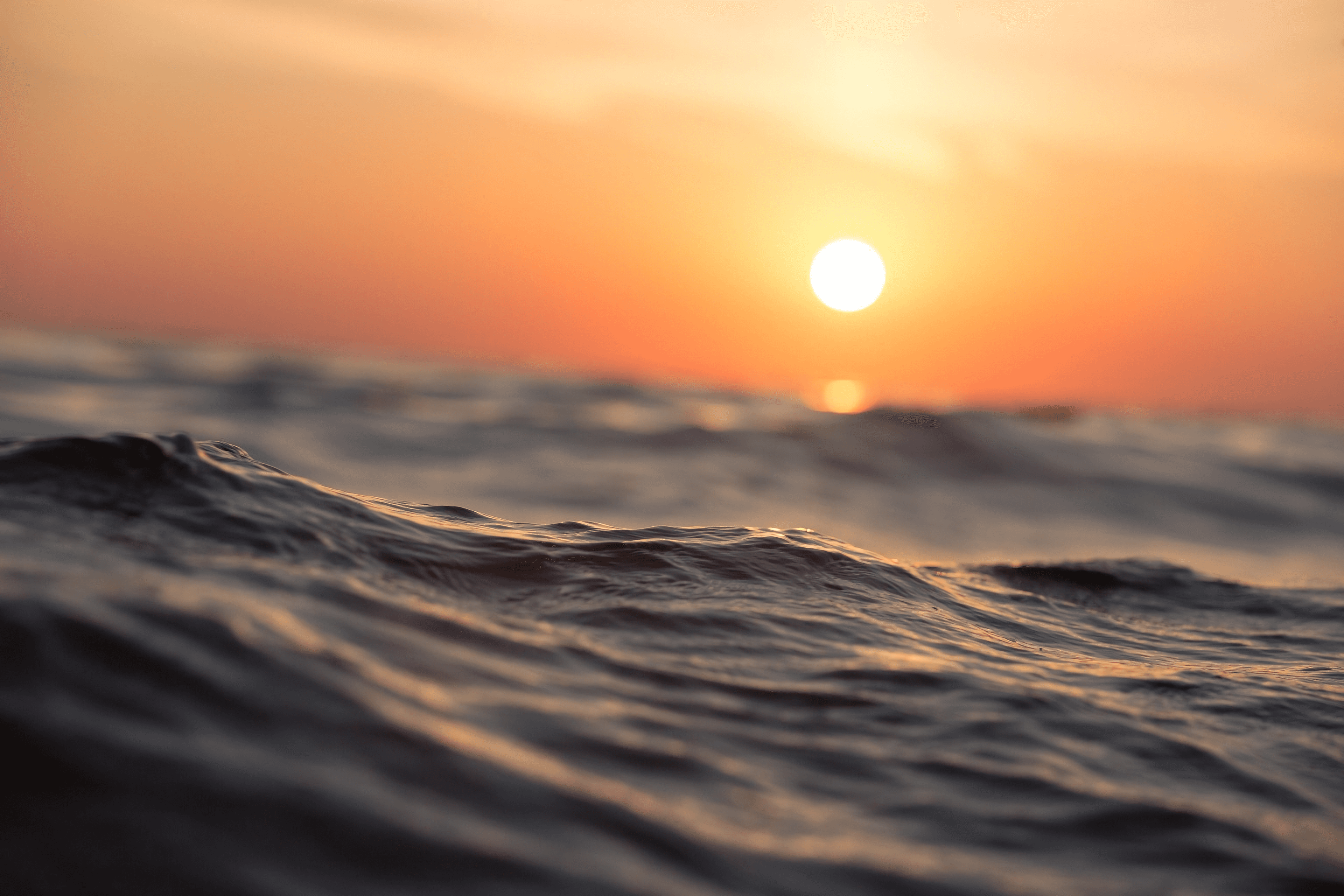 Sunset Comino Blue Lagoon Cruise by Speedboat - cover photo