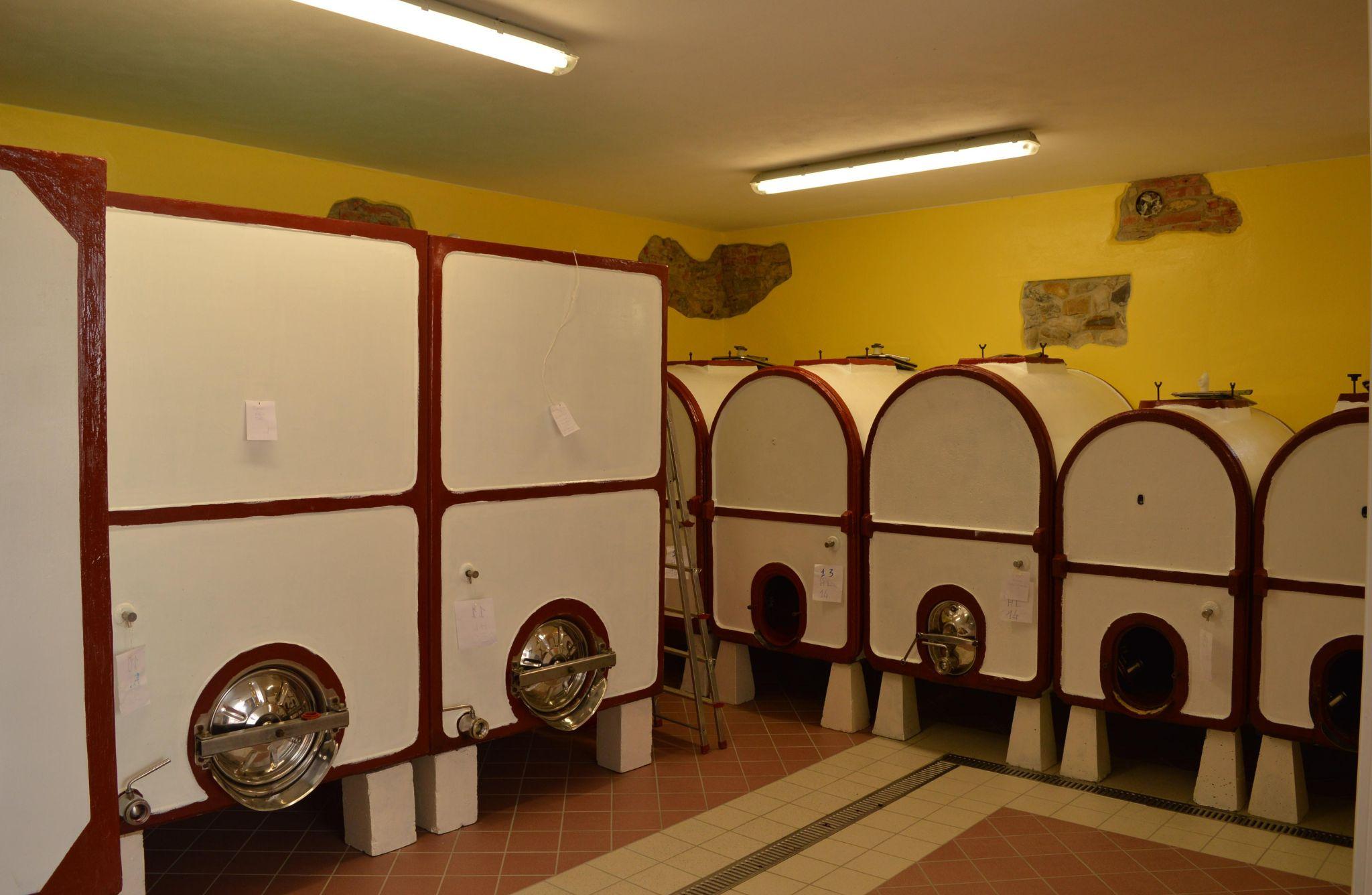 Winery Tour with Wine Tasting & Local Food near Tortona - photo 4