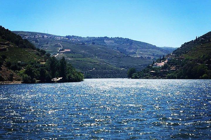 Douro Valley Small-Group Tour with Two Winery, Lunch & Boat Trip - photo 4