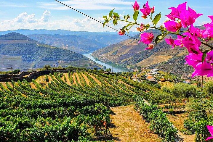 Douro Valley Small-Group Tour with Two Winery, Lunch & Boat Trip - cover photo