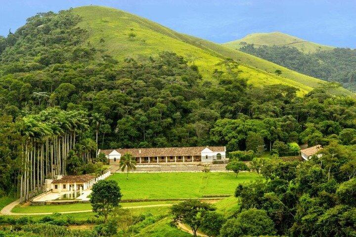 Rural Coffee Farm Tour with Breakfast & Lunch - Roasting & Tasting Experience - cover photo