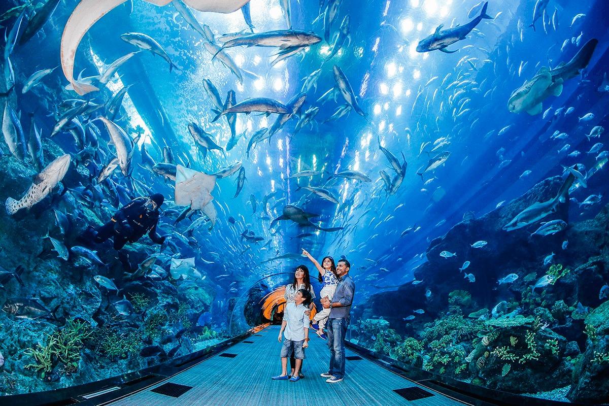 Burj Khalifa 148th floor visit, Dubai Mall shopping, Aquarium & Zoo tour & Desert Safari with BBQ Dinner - cover photo
