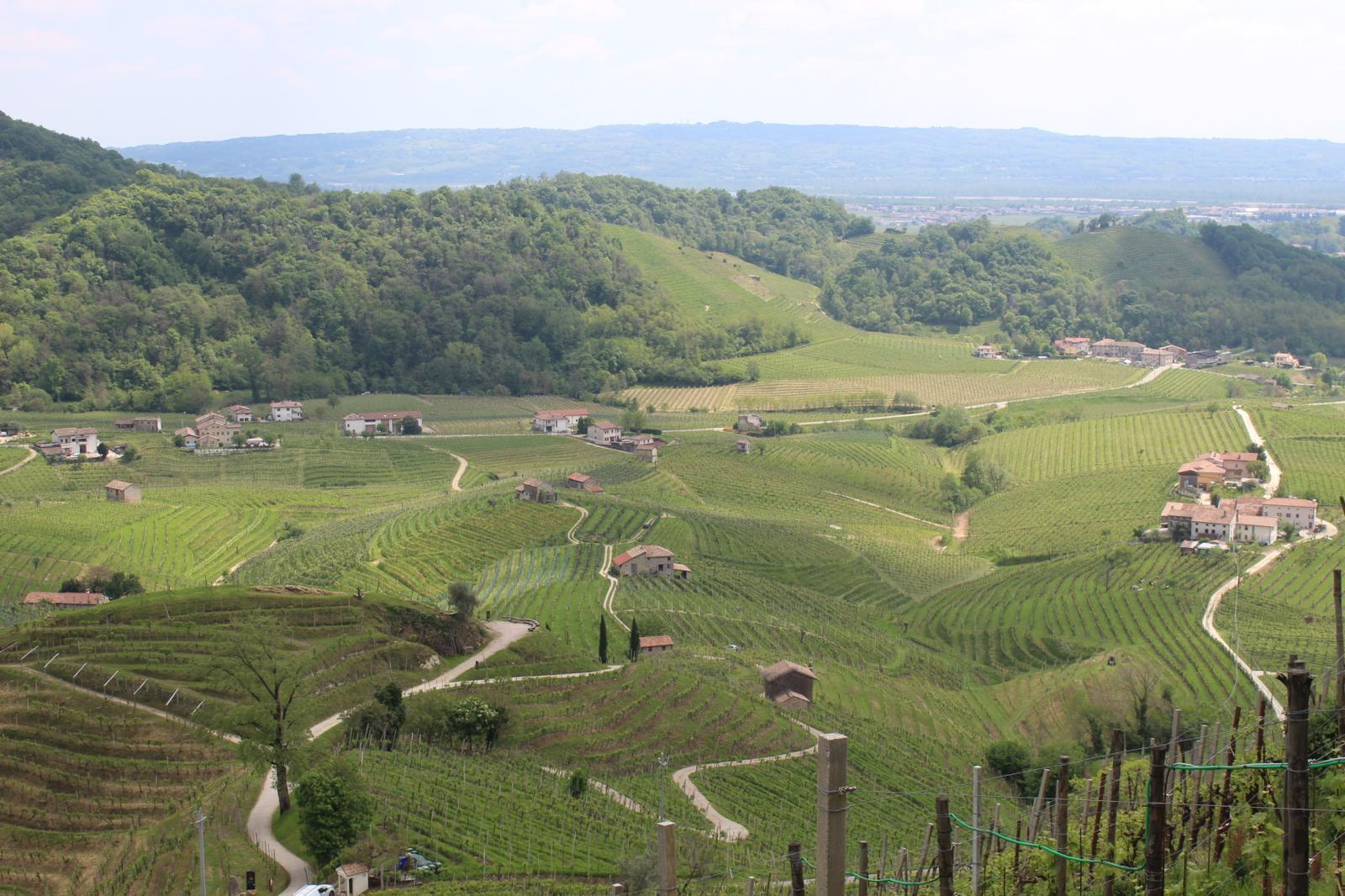 Day trip to the Prosecco Hills - photo 2