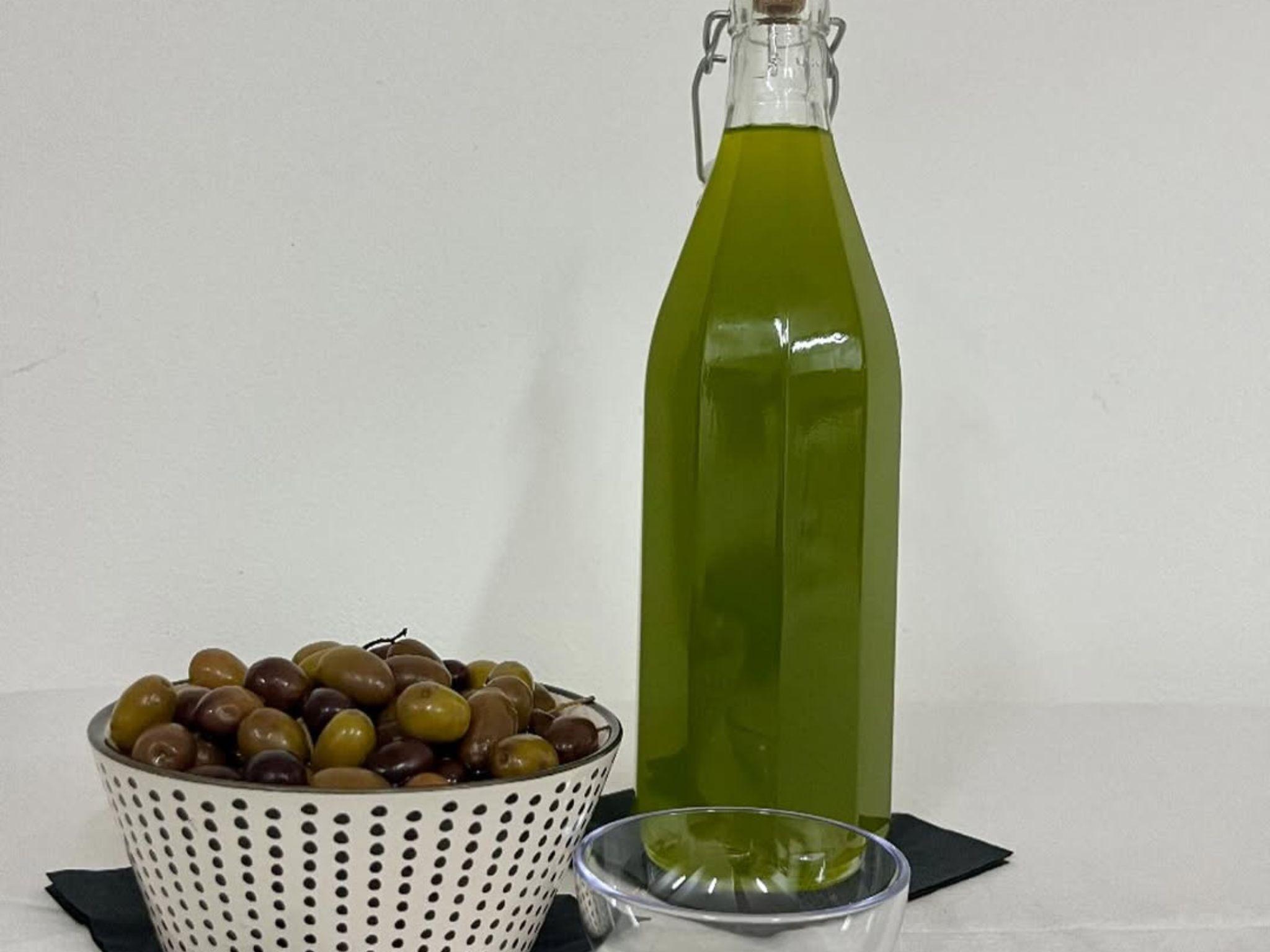Olive Mill Visit & Guided Tasting in Taggia - photo 2