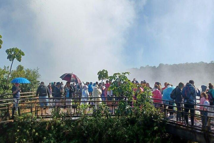 Iguaçu: Brazilian Side Falls, Boat Tour, Bird Park – Tickets & Lunch Included - cover photo
