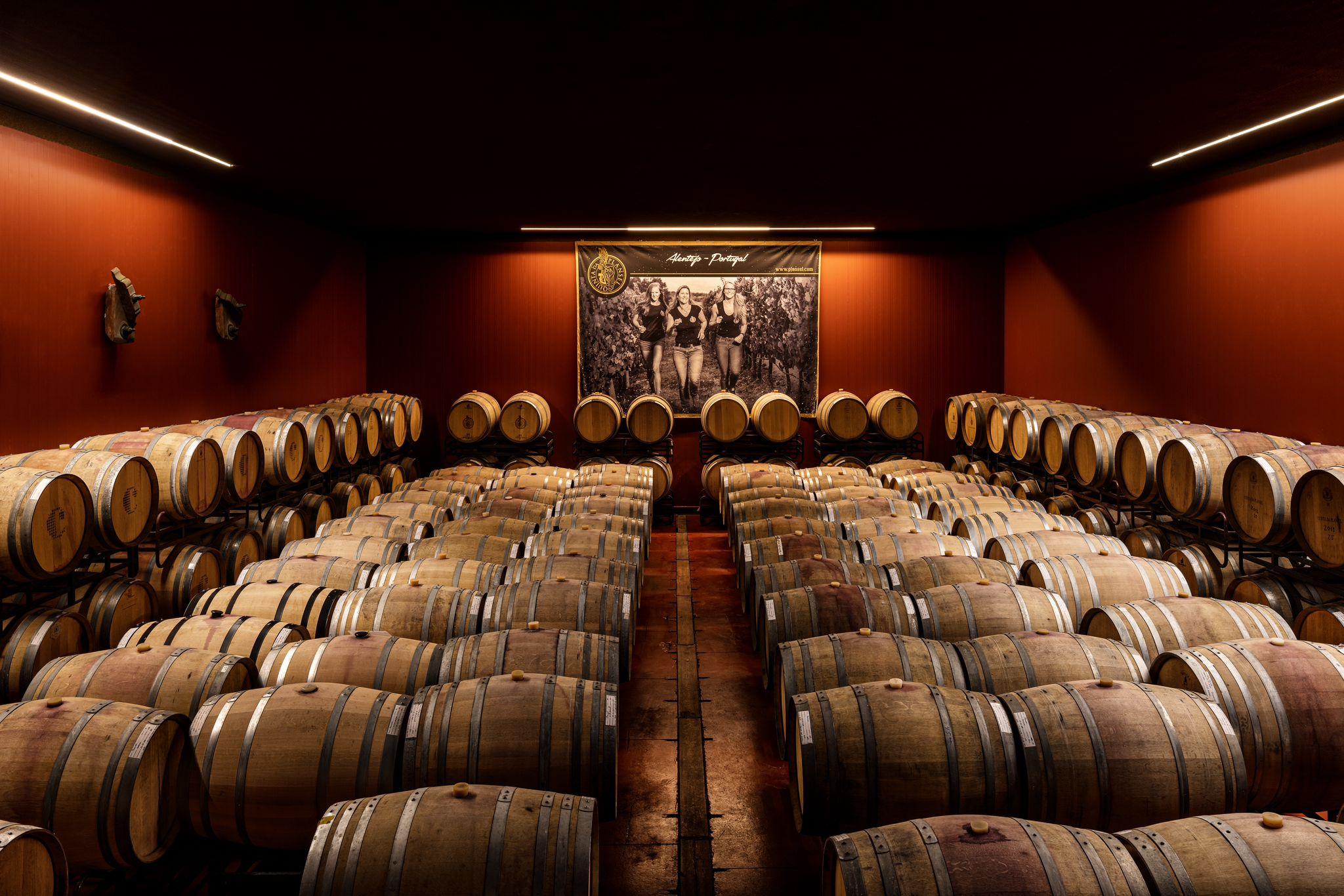 Évora or Montemor: Beekeeping, Chocolate factory, Wine tasting - photo 2