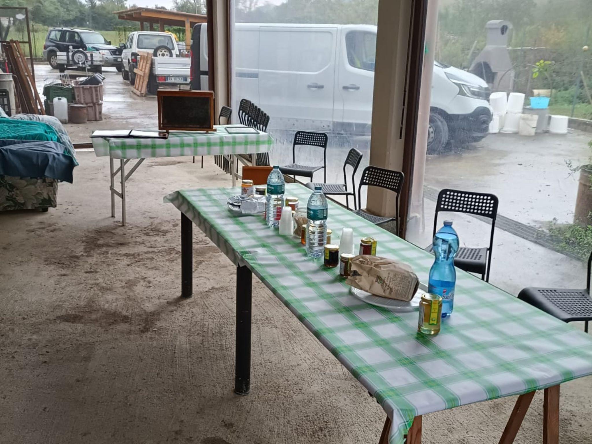 Honey and Mead Tasting Experience in Monferrato - photo 4