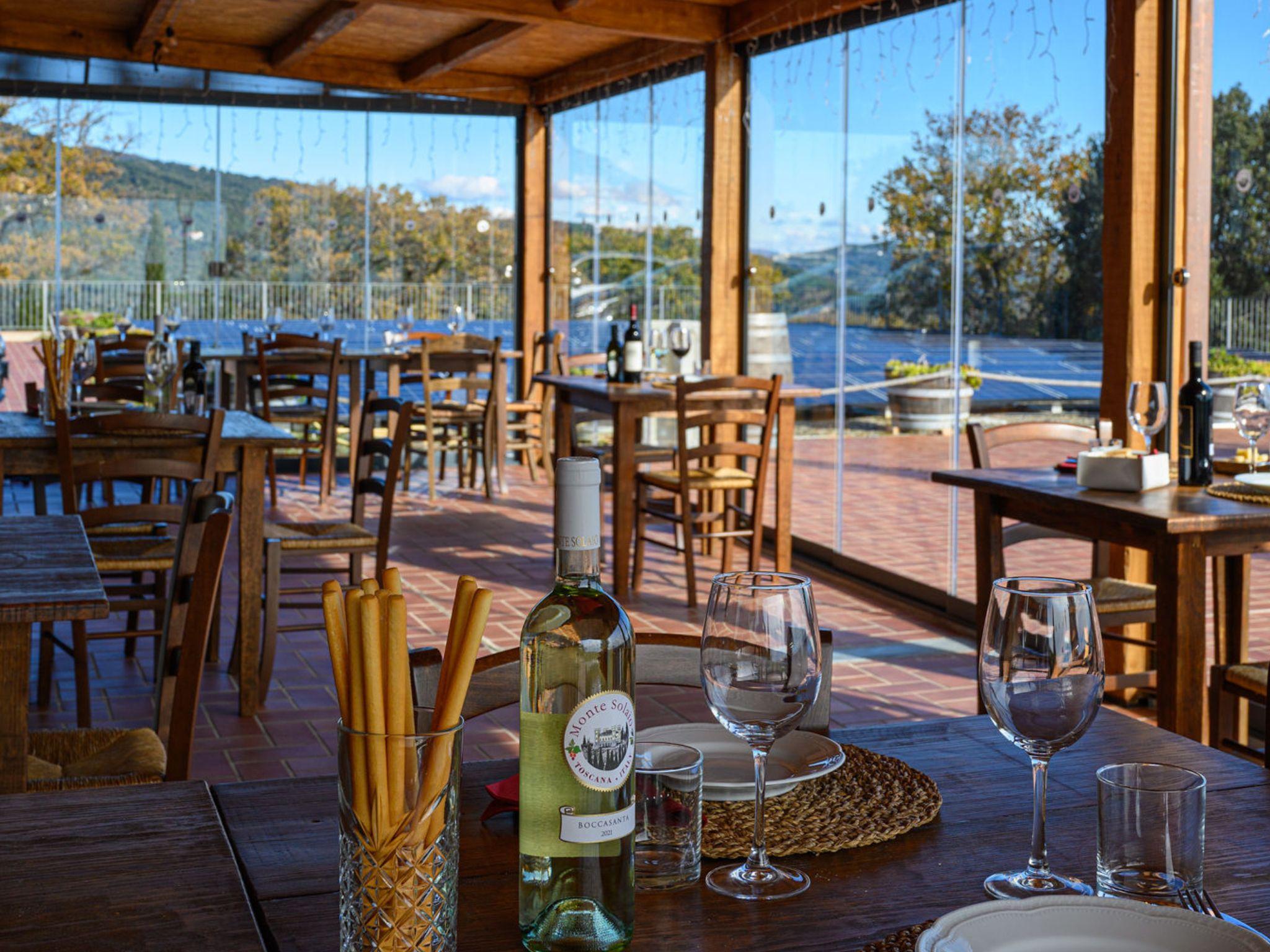 Wine Tasting with Local Food Pairing near Livorno - photo 3