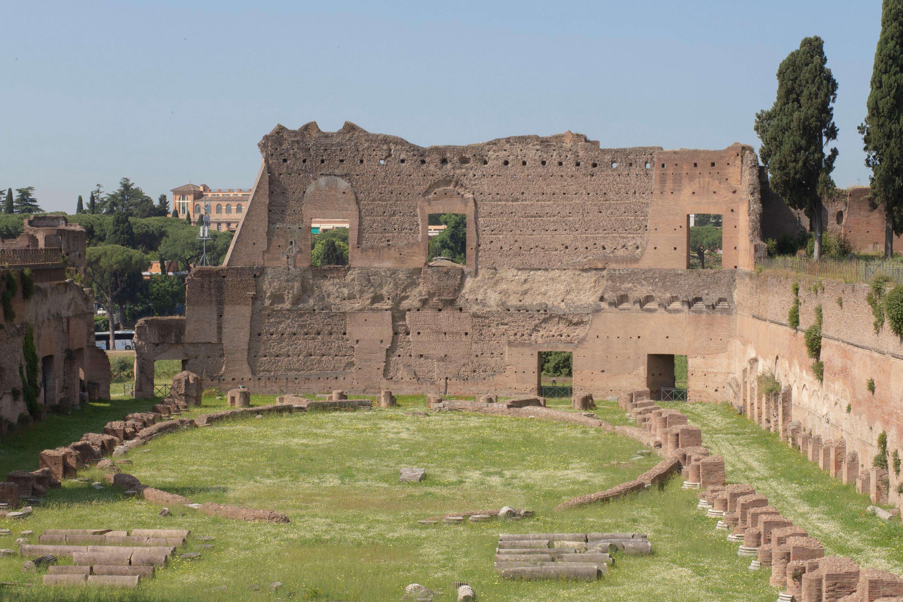 Colosseum, Roman Forum and Palatine Hill Guided tour - photo 4
