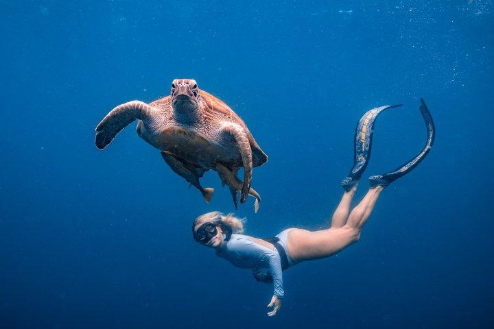 Los Cabos Snorkeling Tour to Chileno Bay and Santa Maria Cove - photo 4