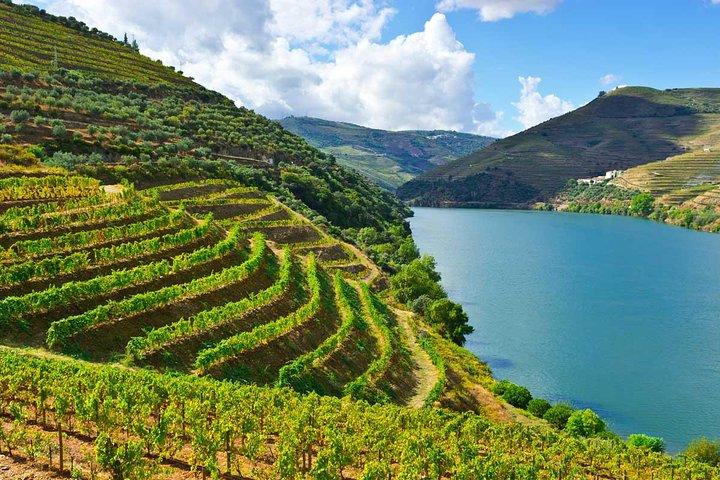 Douro Valley Private Wine and Food Tour From Porto - cover photo