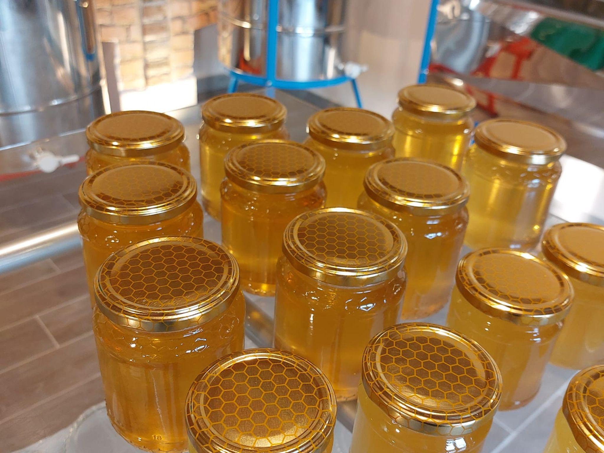 Beekeeping Tour and Honey Tasting Experience in Monferrato - photo 5