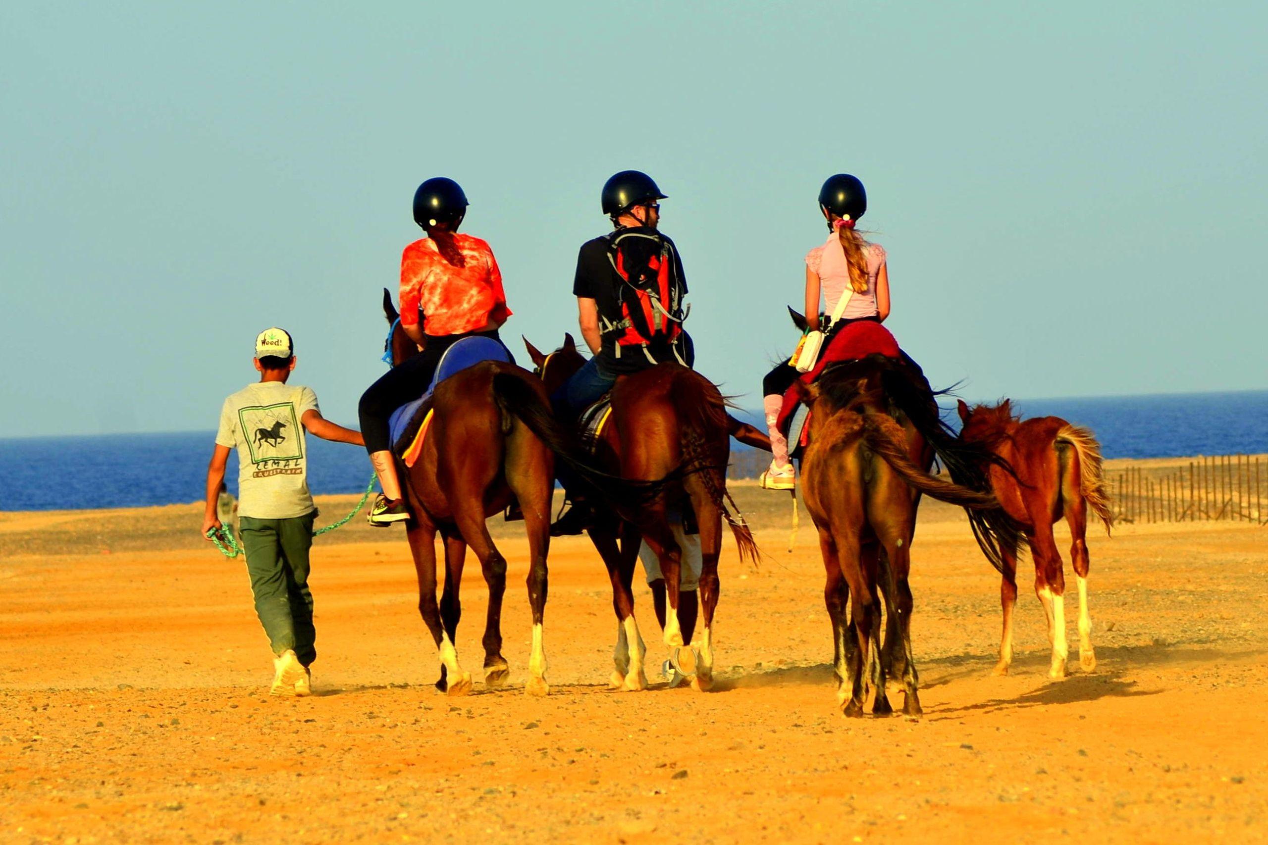 1-Hour Sea Horse Riding Sharm El Sheikh Desert Safari - photo 4