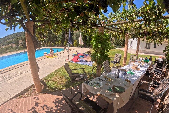 Small Group Wine, Bread & Cheese Experience with Farmhouse Lunch - photo 2