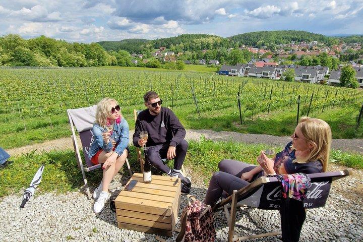 Private Wine Tasting at Vineyard From Krakow - cover photo