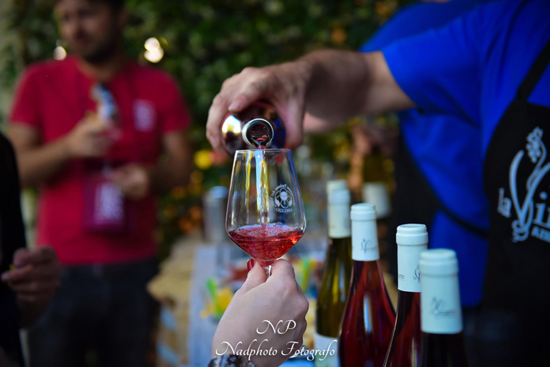 La Vinarte Winery and Tasting - photo 3