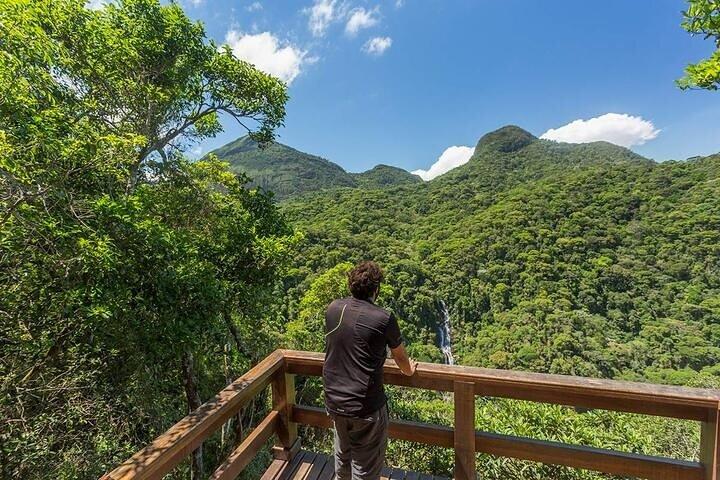 Private 6-hour Hiking Tour in the Tijuca Forest: Waterfalls, Viewpoints & Picnic - cover photo