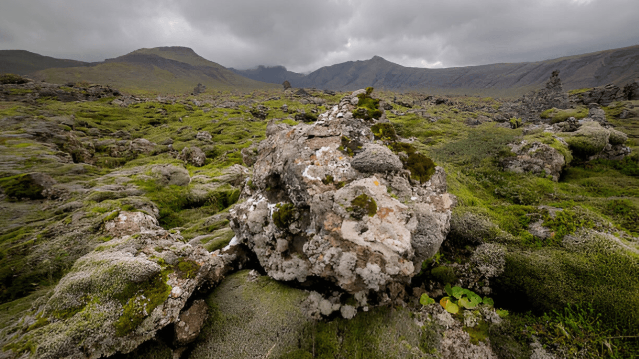 Snaefellsnes Peninsula Adventure: Small Group from Reykjavik - photo 3