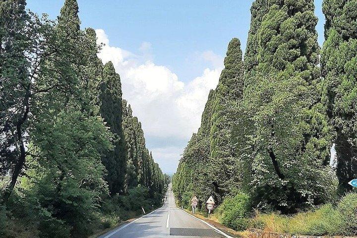 Florence Private Day Trip Bolgheri Wine Experience e Volterra - cover photo