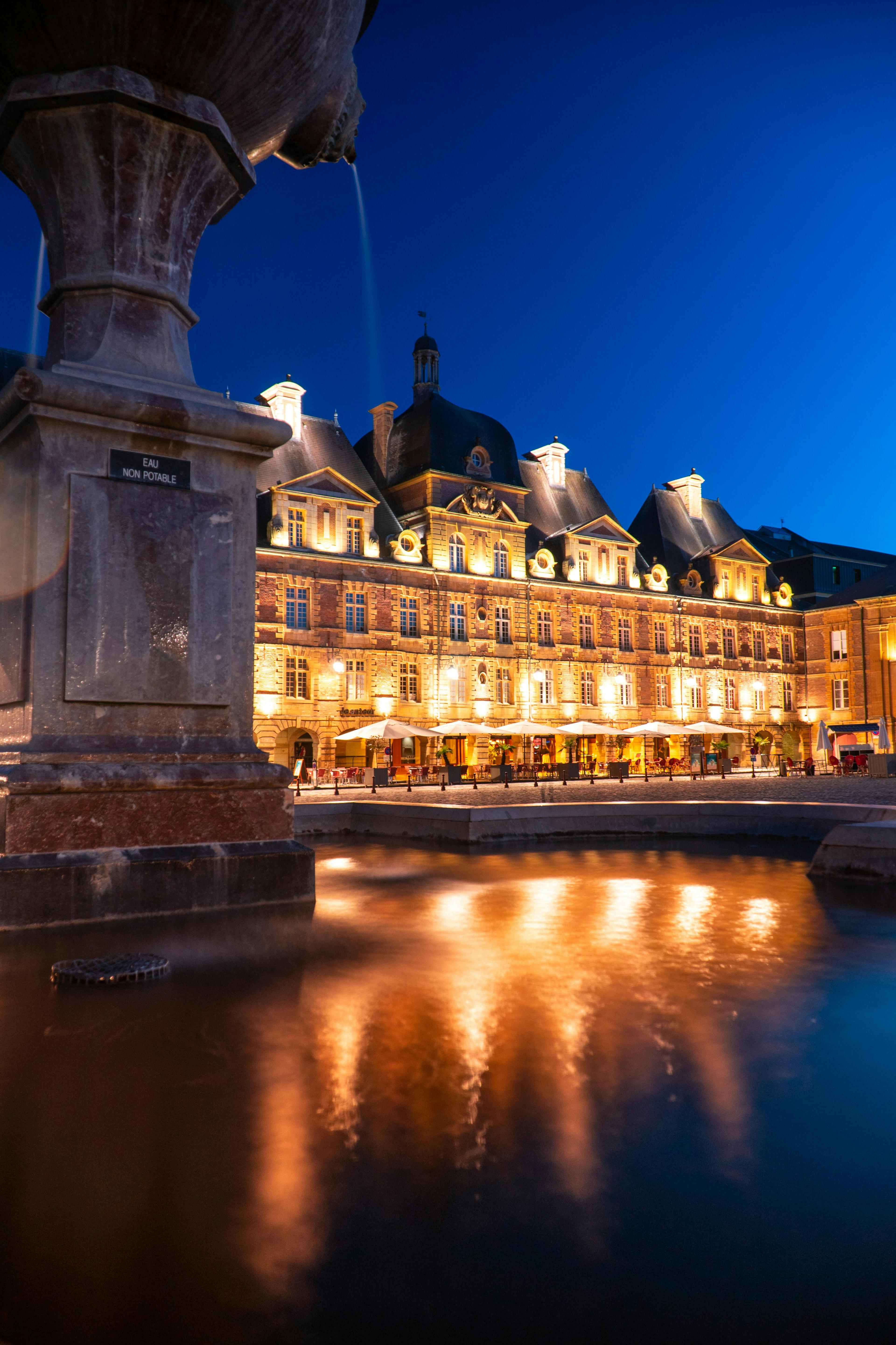 Champagne Region Day Trip by Train: Explore Reims & Epernay with an Expert Guide - cover photo