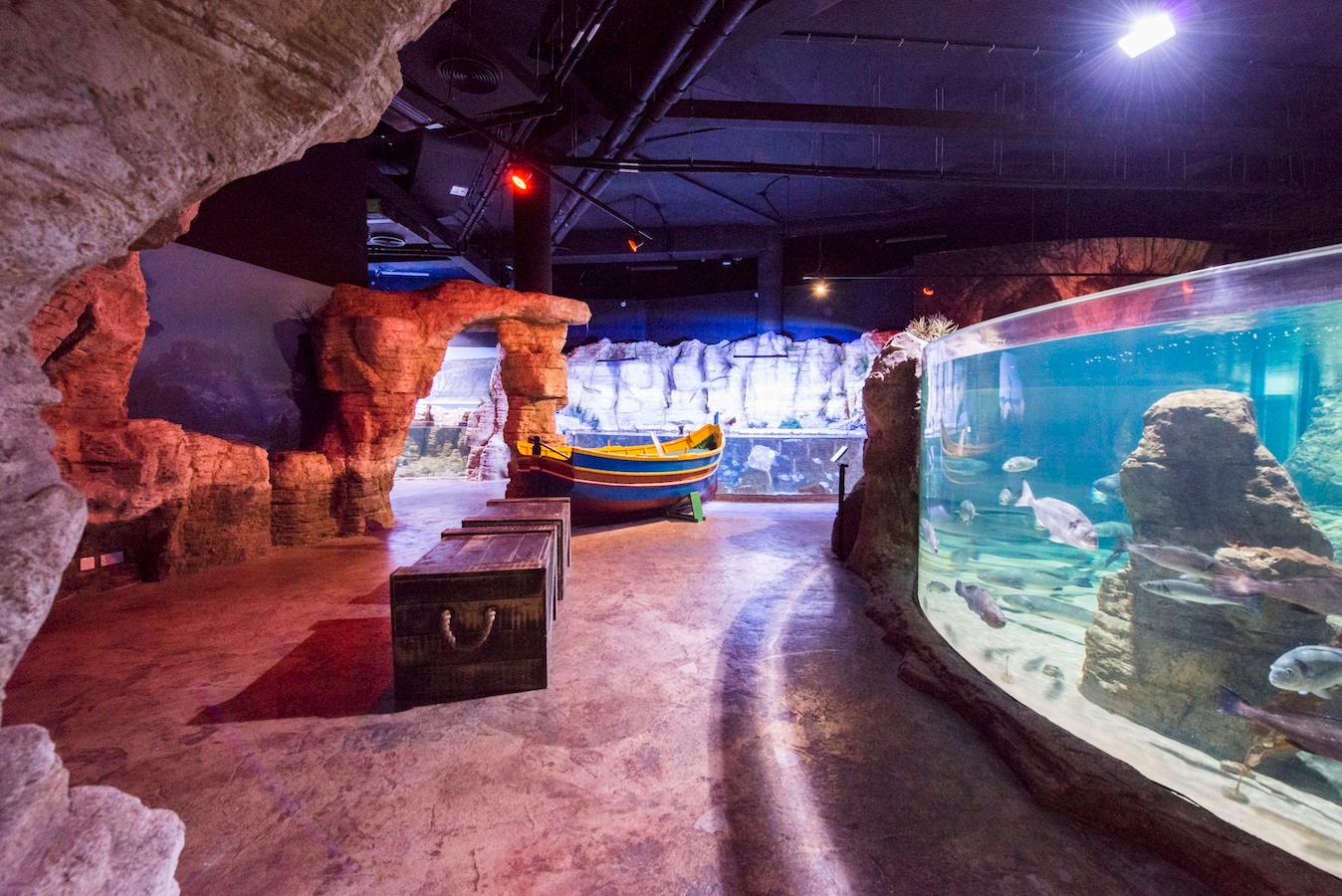 Malta National Aquarium Entry Ticket - photo 5