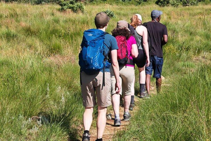 Cradle of Humankind Tour - cover photo