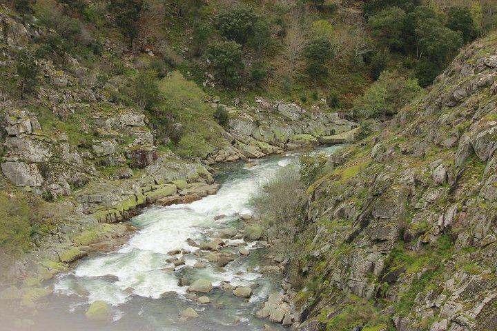 Paiva Walkways - photo 4
