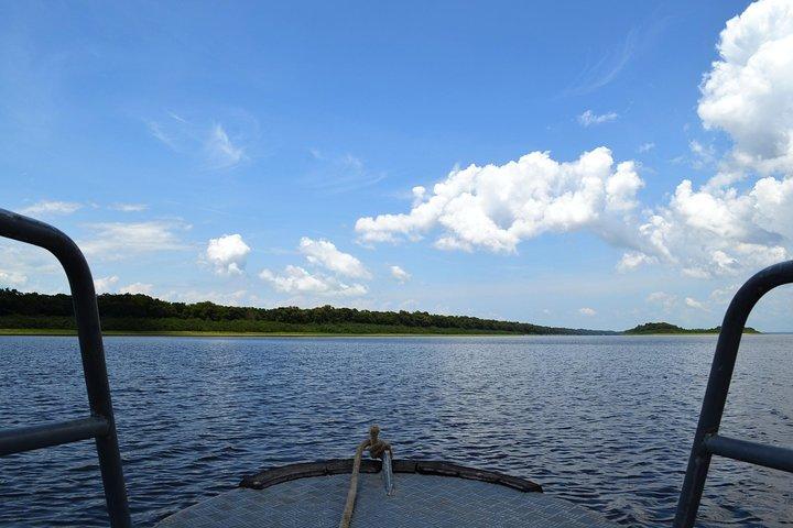 8-Hour Amazonas Jungle Treck & Anavilhanas Archipelago - photo 5