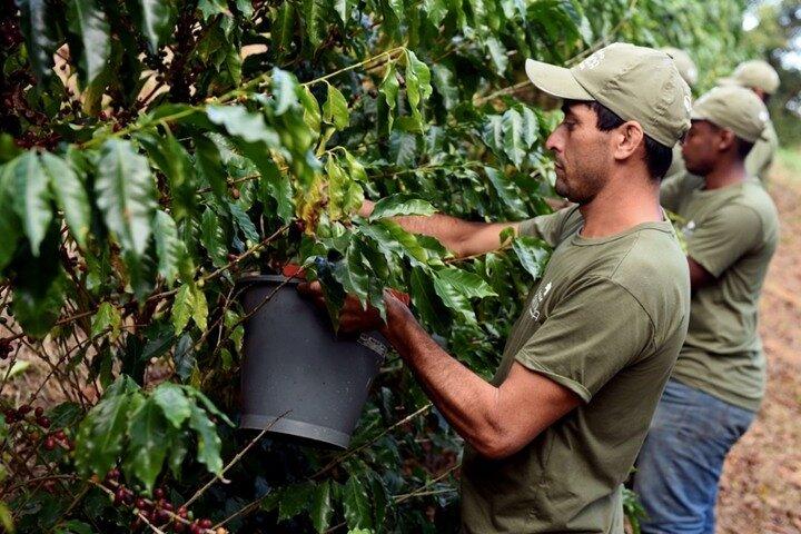 Rural Coffee Farm Tour with Breakfast & Lunch - Roasting & Tasting Experience - photo 3