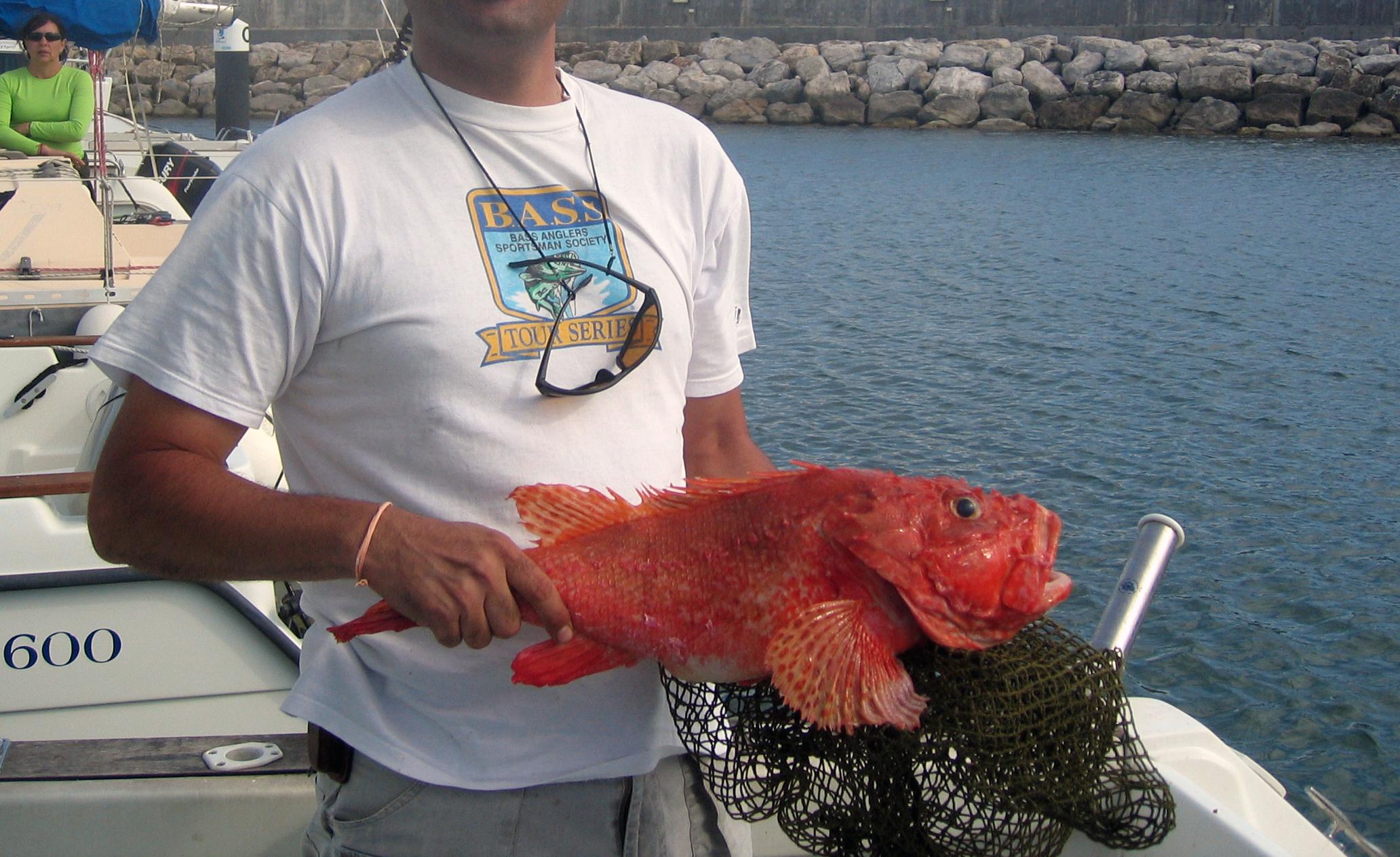 Cascais Small Group Deep-Sea Fishing Experience - photo 3