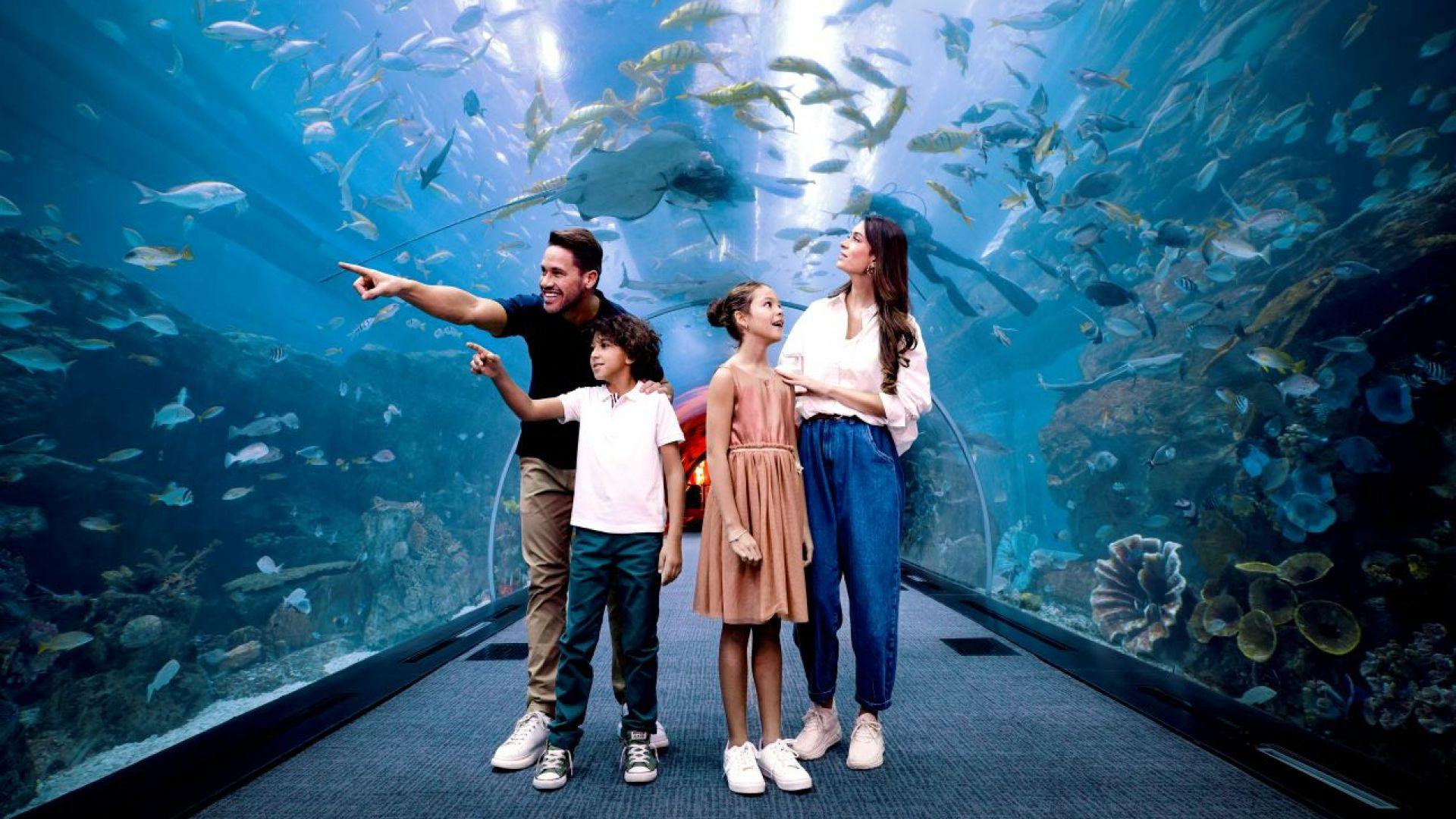 Dubai Mall Aquarium & Underwater Zoo Tickets - photo 3