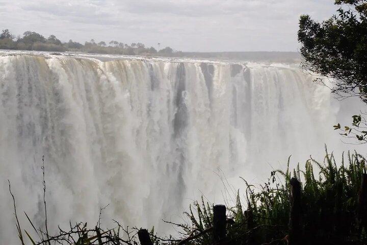 Guided Tour of the Falls - photo 2