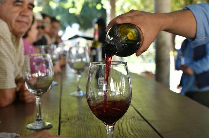 Grand Mexico Wine Country Tour from San Diego - cover photo