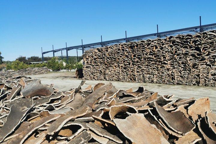 Évora Cork & Castle: From Cork Oak to Evoramonte — Private Tour - photo 5
