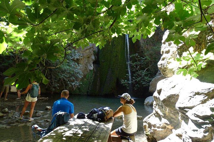 Explore the Hidden Beauty of Richtis Gorge on a Private Tour - cover photo