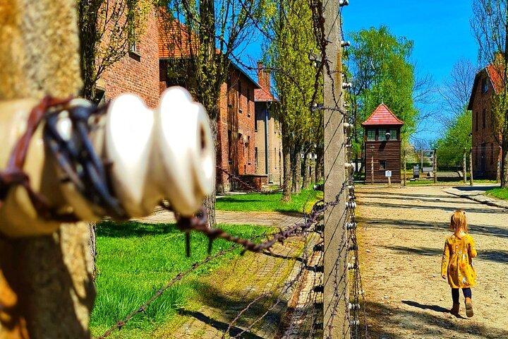 Auschwitz-Birkenau Tour with Private Transport - photo 3